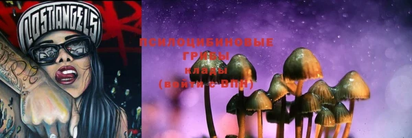 таблы Белокуриха