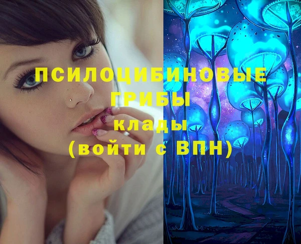 таблы Белокуриха