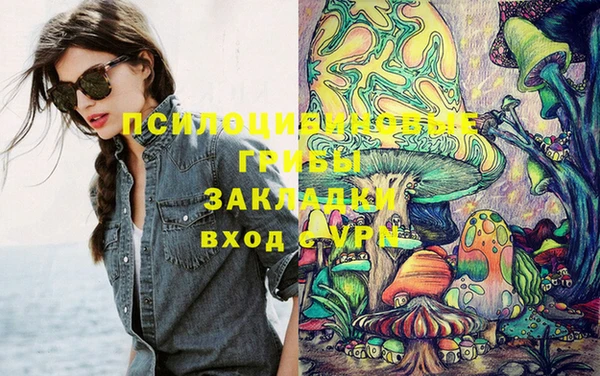 таблы Белокуриха