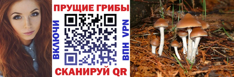 Галлюциногенные грибы GOLDEN TEACHER Сокол