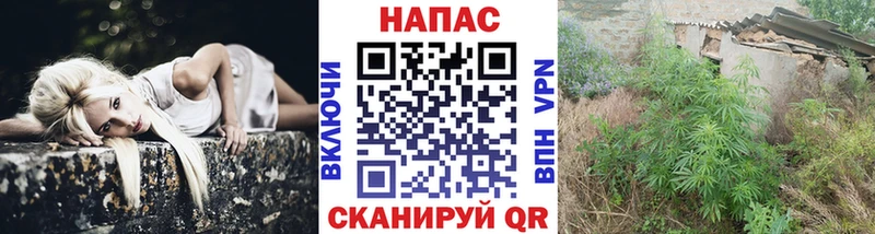 Бошки Шишки сатива  Купить закладки  Сокол 